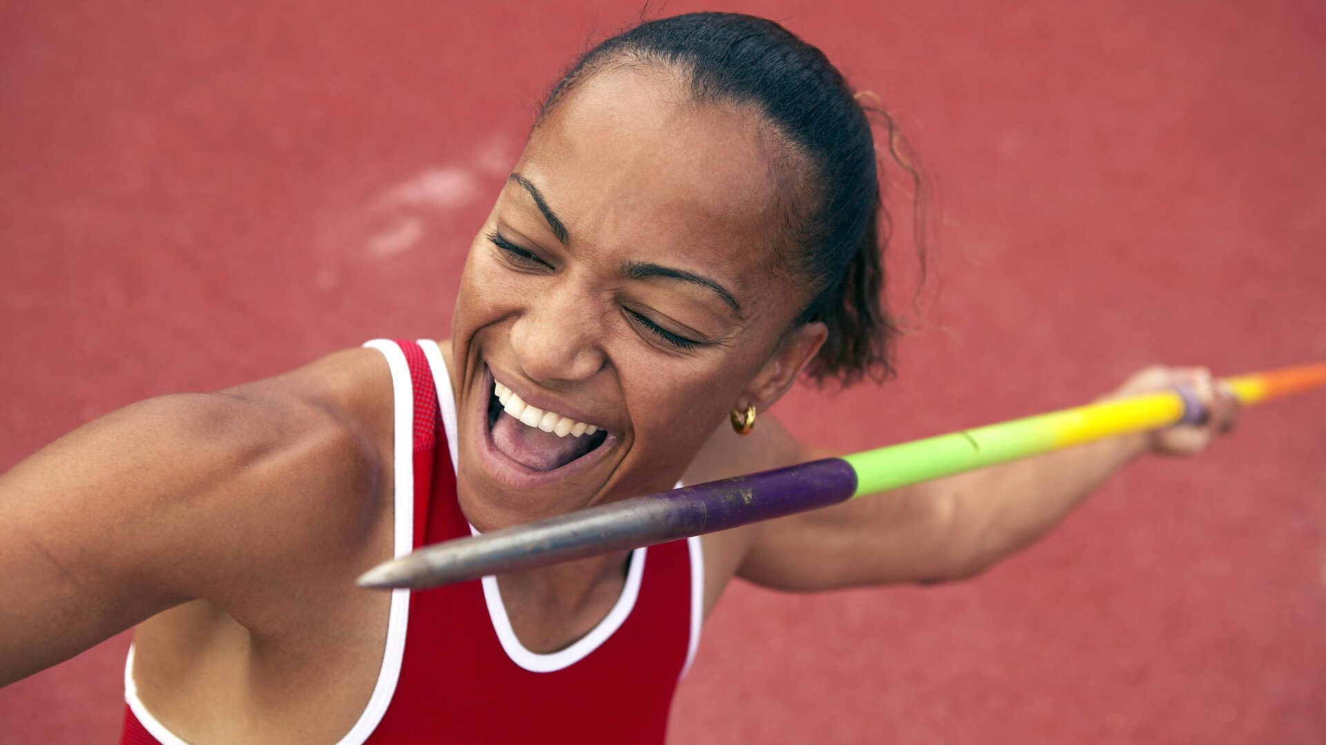 最“萌”的比赛：球迷与动物的趣味互动，动物踢球的游戏